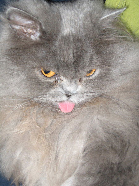 Елена Третьякова