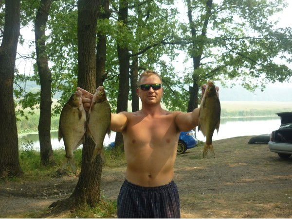 Александр Спицин