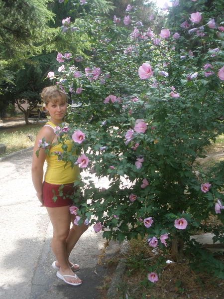 Наталья Никифорова