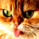 Сергеи Кот