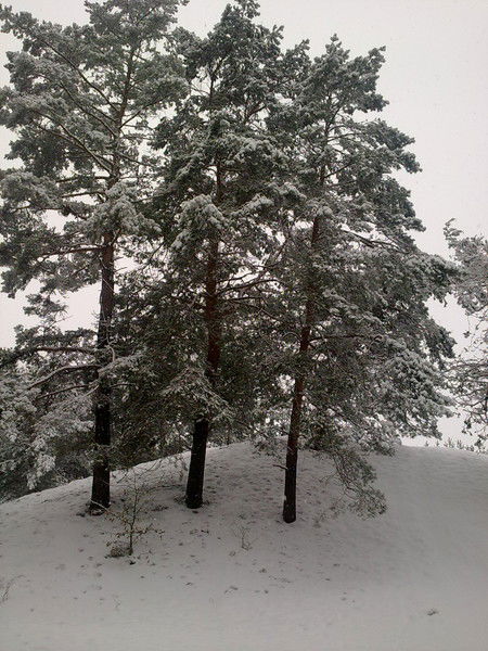 Сергей Рудько