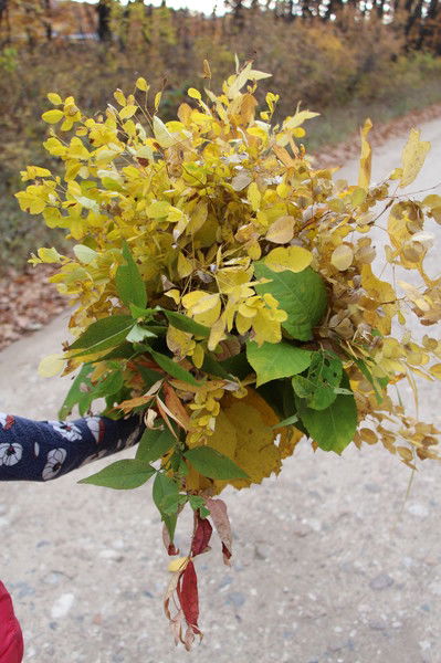 Лариса Одношивкина