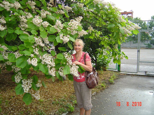 Ольга -Ольга