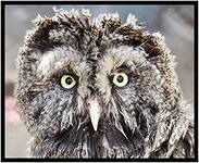 Неизвестно Неизвестно