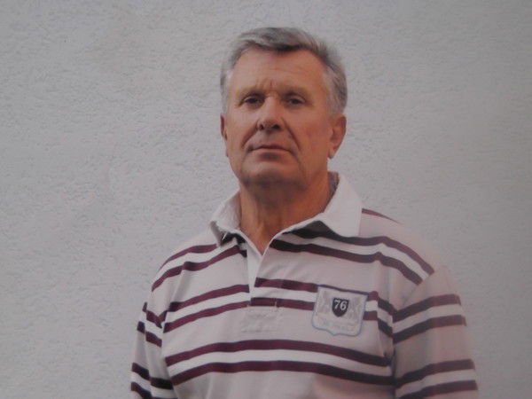 Владимир Согрин