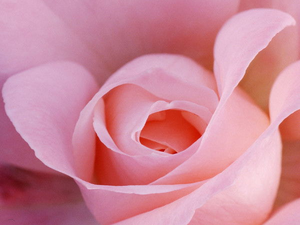 Альдихан Ибраева