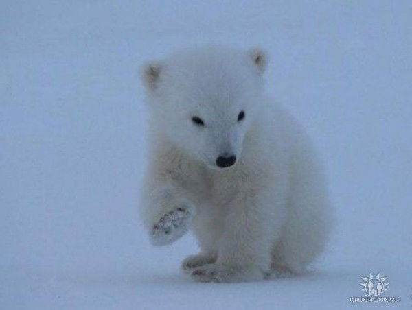 Агромаг Агромаг