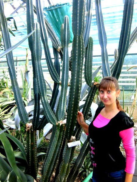 Кристина Садовая