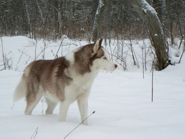 Юлия Миронова