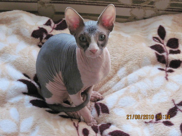 Наталья Санникова