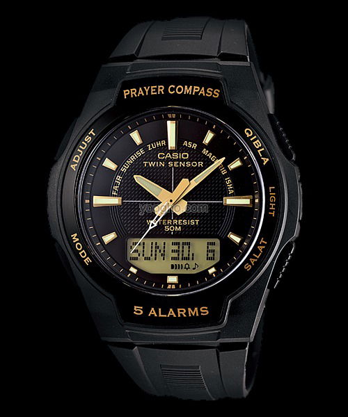 Али Абу Хасан