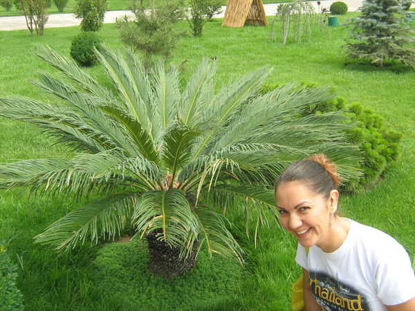 Лейла Газимова