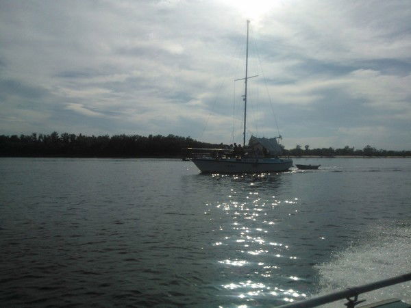 Василий Криволап