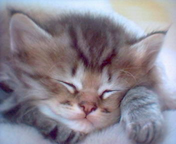 Любовь Краснощекова