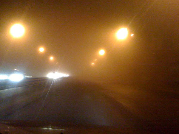 Анна Куравлева