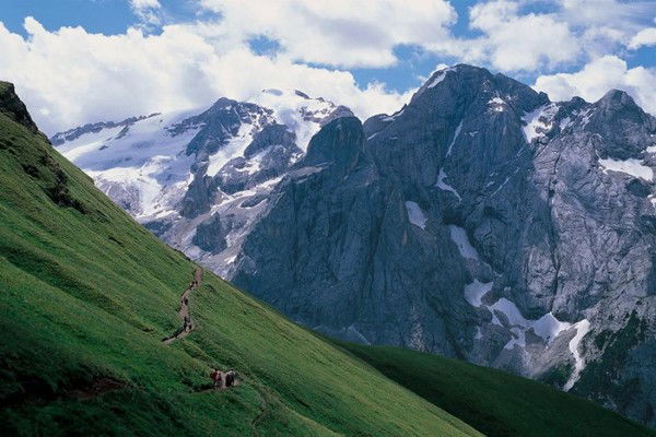 Наталия Бибикова