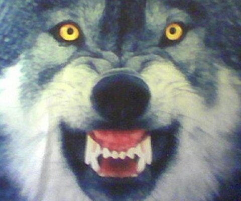 Александр Иванов