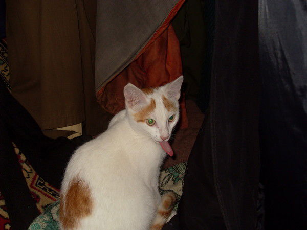 Веник Слесарев)))))))