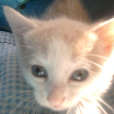 Мария Бабаева