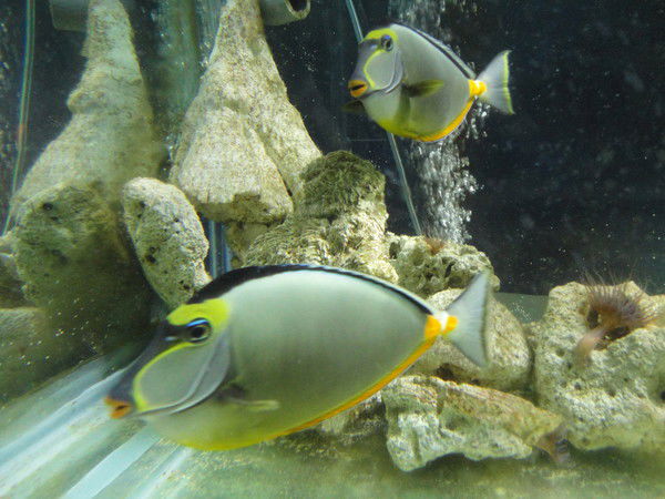 Мегатур Иваново