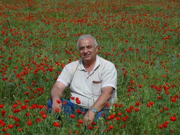 Непес Шуйский