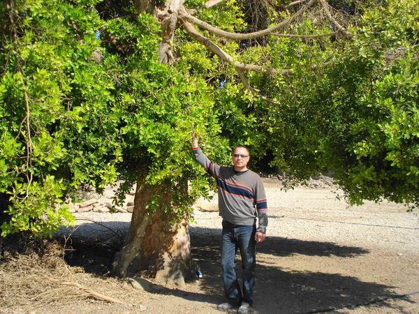 Ярослав Карпович