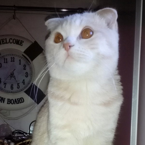 Наталья Cтрукова