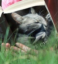 Настя Белова