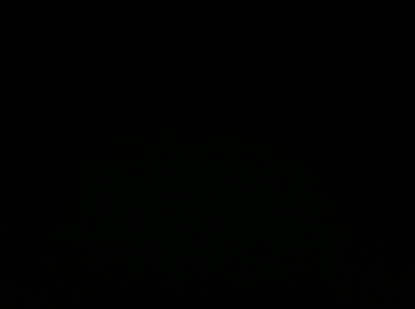 Екатерина Киселева