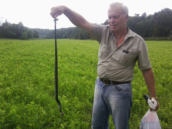 Александр Соловьев