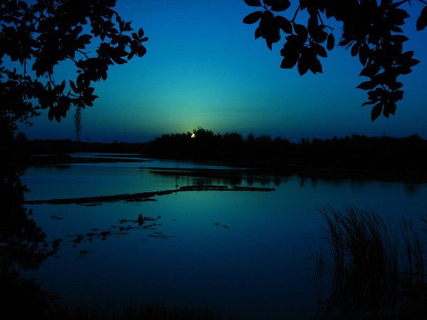 Мирас Мирасов