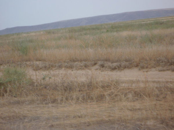 Тимур Хазраткулов