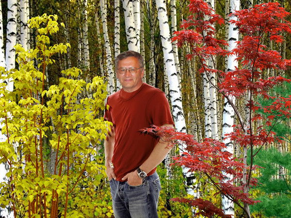 Виктор Шибаев