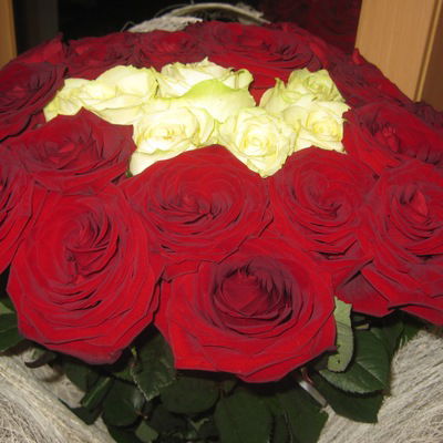 Галина Серякова