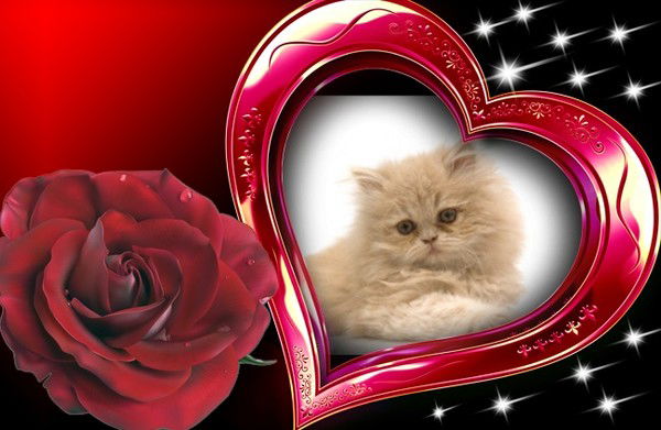 Наталья Геращенко