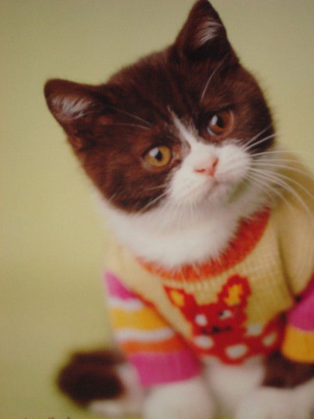 Павел Черунов