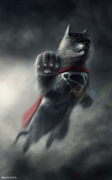 Super Cat