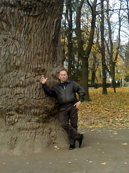 Алексей Перфилов