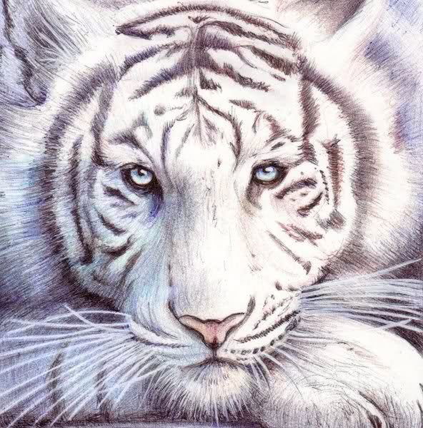 Сергей Кондаков