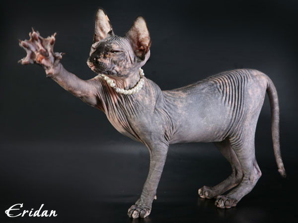 Настасья Ерусланкина