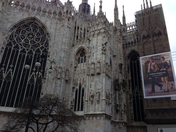 Людмила Шевчук