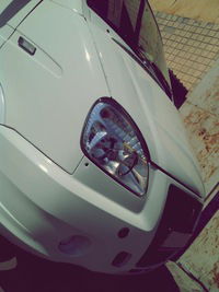 Дмитрий Телыш