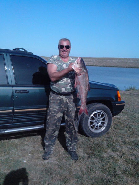 Андрей Серепенков