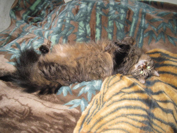 Тамара Журавлёва