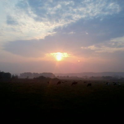 Лейсан Ахатова