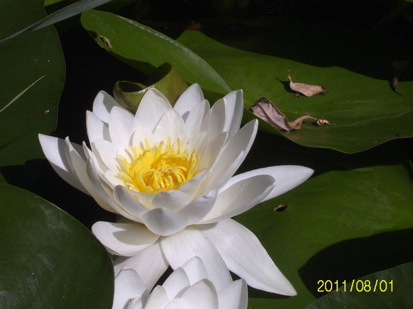 Татьяна Шабалина