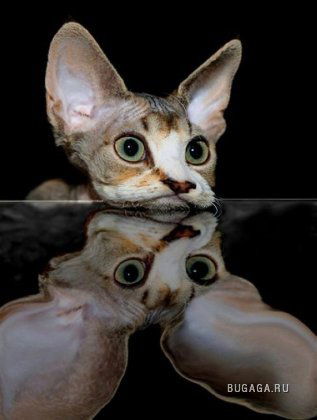 Сергей Малых