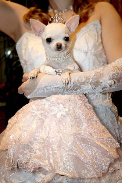 Оксана Назарова