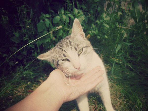 Арина Стаценко