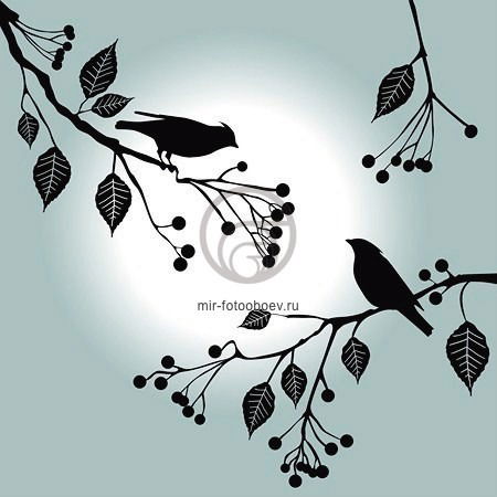 Виктория Леонова